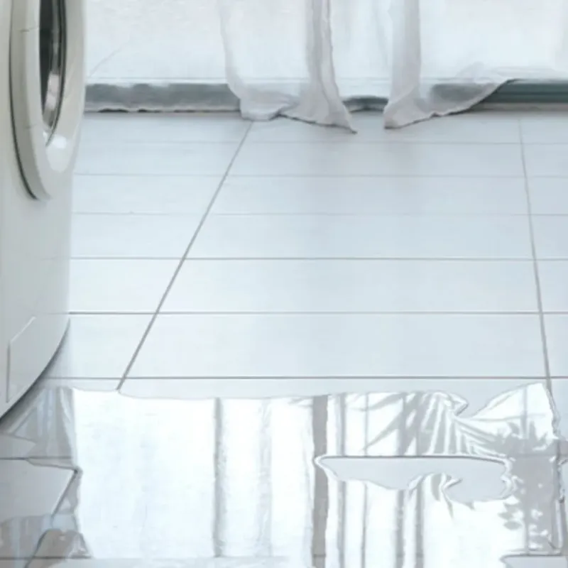 Appliance Leak Cleanup in Wortham, TX