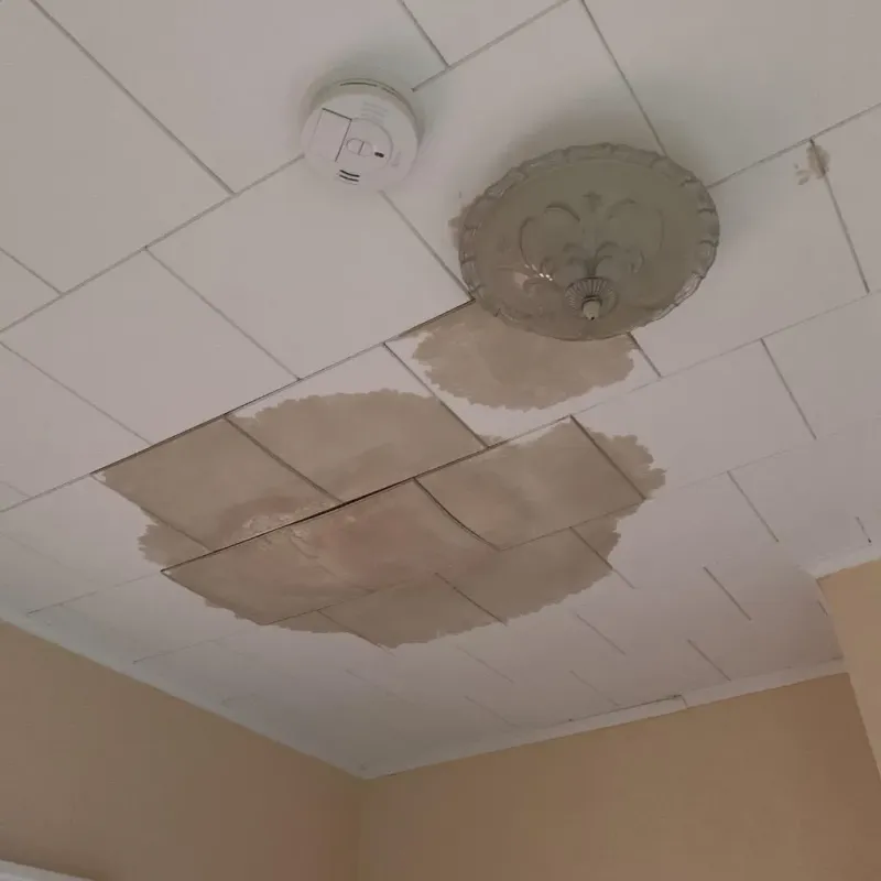 Ceiling Water Damage Repair in Wortham, TX