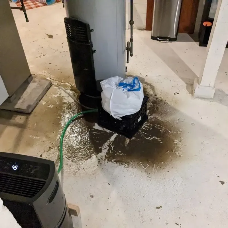 Sewage Backup Cleanup Service in Wortham, TX
